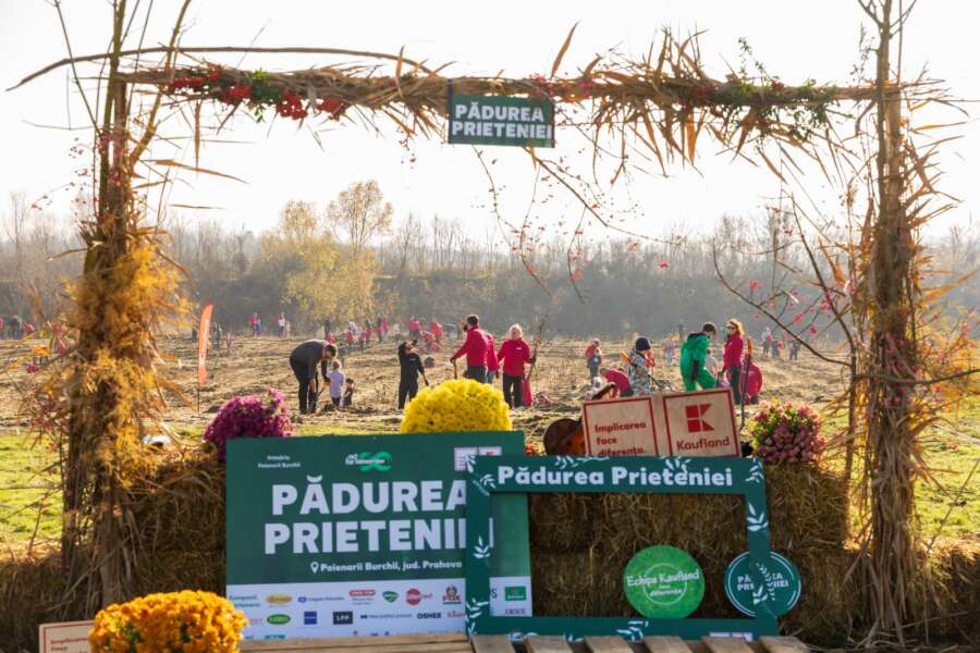 Proiecte sociale România: exemple de impact real Proiecte sociale România exemple de impact real